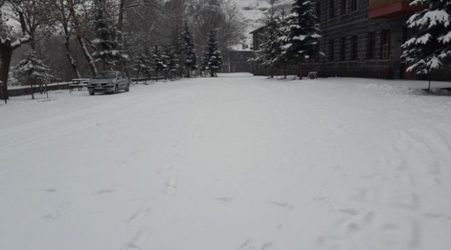 KARS'TA KURT KARAYOLUNA İNDİ