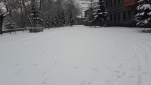 KARS'TA KURT KARAYOLUNA İNDİ