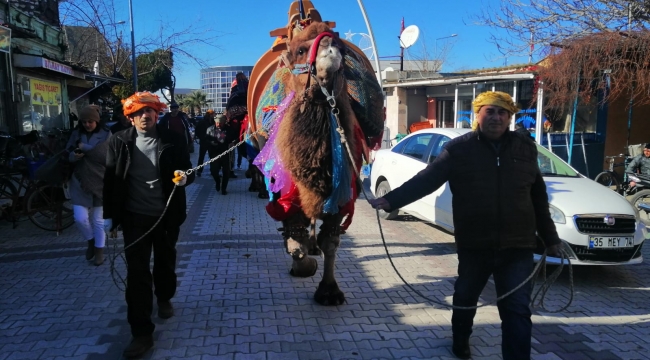 Menemen 8. Geleneksel Türkelli Deve Güreşleri’ne hazır