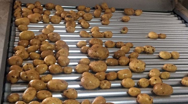 Patates ve soğan satışına kısıtlama getirildi