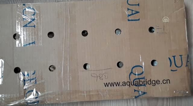 Ardahan'da 4 bin 560 su kaplumbağası ele geçirildi