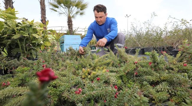 Gaziemir Belediyesi’nden su kaynaklarını korumak için çalı üretimi!