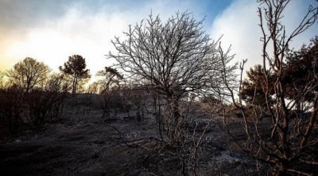 Yangınlarda başrol sigaranın