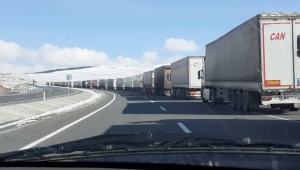 ARDAHAN'DA TIRLAR KARANTİNAYA ALINDI!