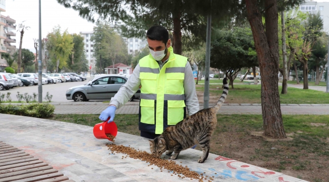 Bayraklı Belediyesi’nden can dostlara su ve mama