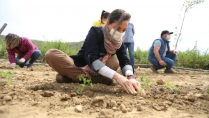 BAŞKAN SENGEL İLK TOHUMU ATTI