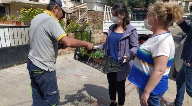 Buca’da balkon tarımı başladı: “Evde kal, evde üret