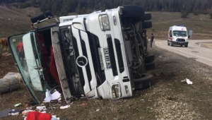 Büyükbaş hayan taşıyan tır kaza yaptı