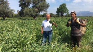 Büyükşehir Belediyesi salgında da üreticinin yanında