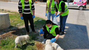 Sokakta yaşayan canlara “gönülden” destek