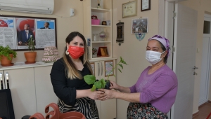 Çiğli Belediyesi’nden vatandaşa sebze fidesi