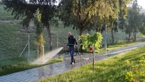 Çiğli parklarında çim ve bitkilere özel bakım