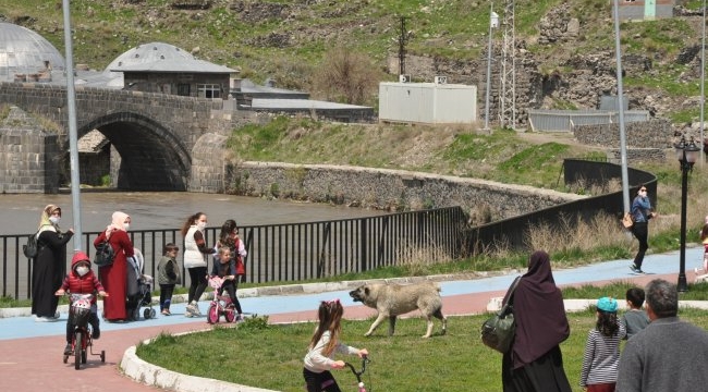 Çocuk köpeğin saldırısından son anda kurtarıldı.