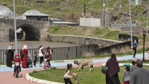 Çocuk köpeğin saldırısından son anda kurtarıldı.