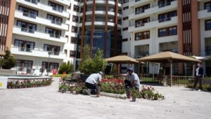 Sosyal Yaşam Kampüsü’ndeki anneler için bahçeye çiçek 