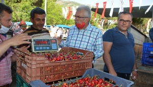 Mendegüme Toptan Erik ve Kiraz Pazarı açıldı