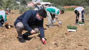 Buca Belediyesi'nin gurur mahsulü