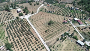 Buca’da sürdürülebilir tarım projesi devam ediyor 