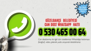 Can Dost WhatsApp Hattı’ Hizmette 