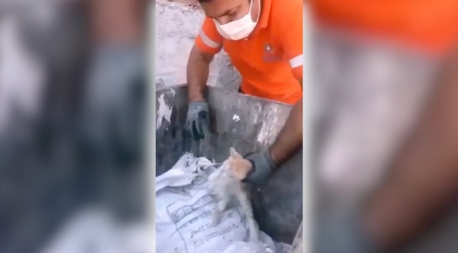Gaziemir Belediyesi çalışanları yavru kedinin hayatını kurtardı