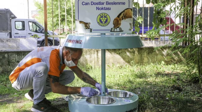 İzmir sıcaklarında Buca Belediyesi’nde mama ve su seferberliği 