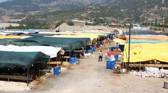 Kurban satış yerlerine ücretsiz servis