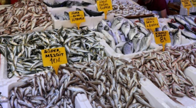 600 gramlık palamut 10 TL