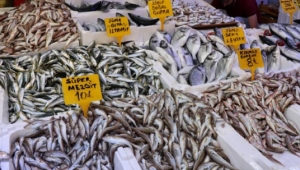 600 gramlık palamut 10 TL