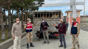 Ardahan'da çalınan büyükbaş hayvanlar Karsta bulundu