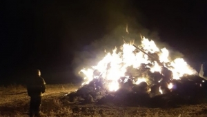 Arpaçay'da 7 ton ot yanarak kül oldu