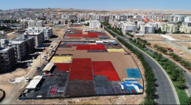 Tarladan tezgaha isot serüveni