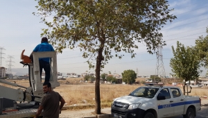 Zabıtalar kediyi kurtardı