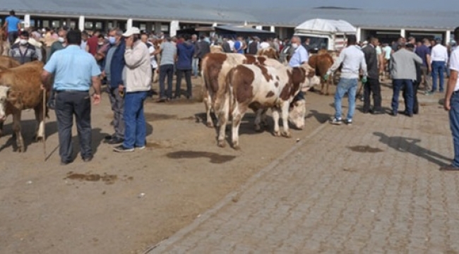 Kars'ta canlı hayvan pazarları geçici olarak kapatıldı
