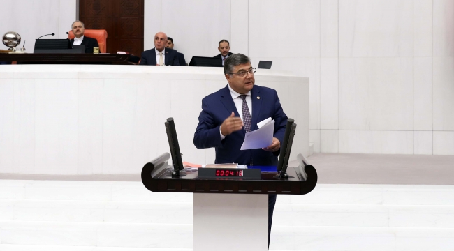 Milletvekili Sındır,