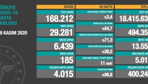 185 kişi daha hayatını kaybetti! 29 bin 281 de yeni vaka var