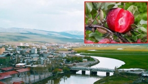 Ardahan Yunan gazetesinde skandal haber: 'Doğu Pontus' şehri diye tanıttılar