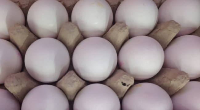 Bir koli yumurta 1 kilo kıymayı yakaladı