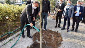 Bornova’da her cana 1 fidan