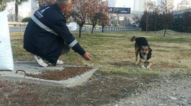 Sokakta yaşayan hayvanlar unutulmadı