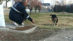 Sokakta yaşayan hayvanlar unutulmadı