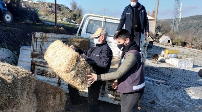 Bergama'da yaban hayvanları için doğaya ot bırakıldı