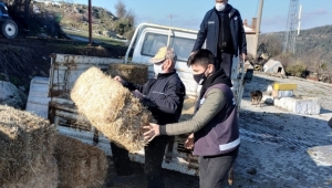 Bergama'da yaban hayvanları için doğaya ot bırakıldı