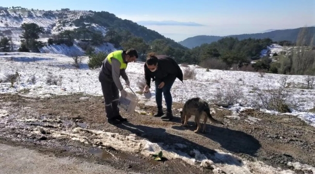 KEMALPAŞA BELEDİYESİ CAN DOSTLARI UNUTMUYOR