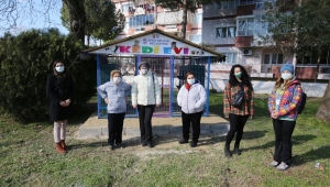 EFES SELÇUK’TA KEDİ EVİ SAKİNLERİNİ BEKLİYOR 
