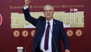 ‘Kozak Yaylası’nda 8 bin 882 fıstık çamını kurban etmeyin!’