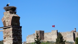 Baharı Müjdeleyen Leylekler Efes Selçuk Semalarında 