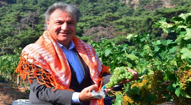 Bornova'da ücretsiz sebze fidanı