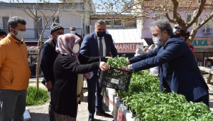 Bornova'da hedef 100 bin fidan
