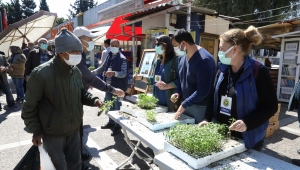 Buca’da balkon tarımı için 100 bin fide 