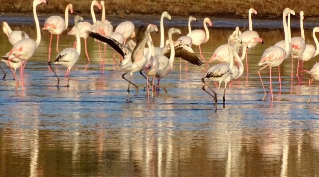 Çeşme Belediyesi’nden fotoğraf yarışması